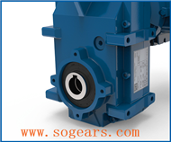 Parallel shaft gear reducer